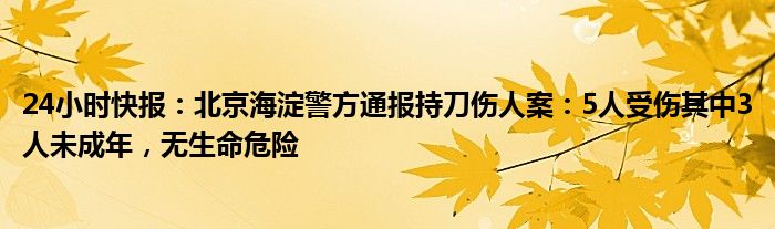 24小时快报：北京海淀警方通报持刀伤人案：5人受伤其中3人未成年，无生命危险