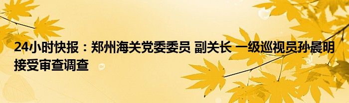 24小时快报：郑州海关党委委员 副关长 一级巡视员孙晨明接受审查调查