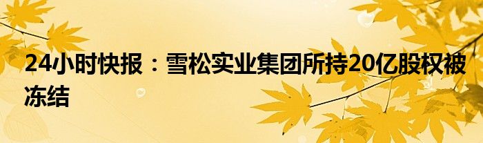 24小时快报：雪松实业集团所持20亿股权被冻结