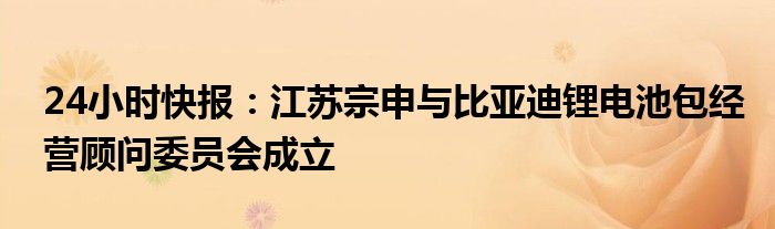 24小时快报：江苏宗申与比亚迪锂电池包经营顾问委员会成立