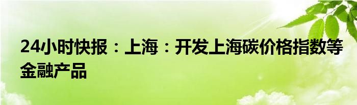 24小时快报：上海：开发上海碳价格指数等金融产品