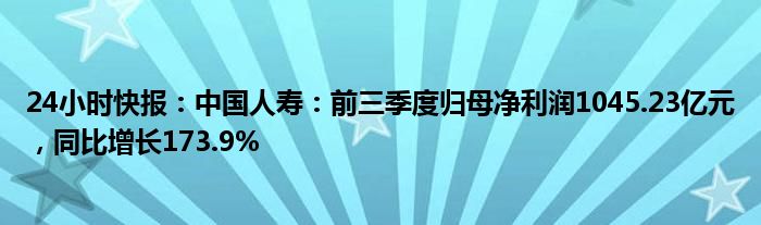 24小时快报：中国人寿：前三季度归母净利润1045.23亿元，同比增长173.9%