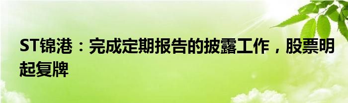 ST锦港：完成定期报告的披露工作，股票明起复牌