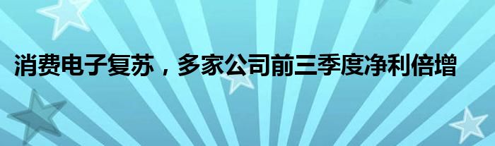 消费电子复苏，多家公司前三季度净利倍增