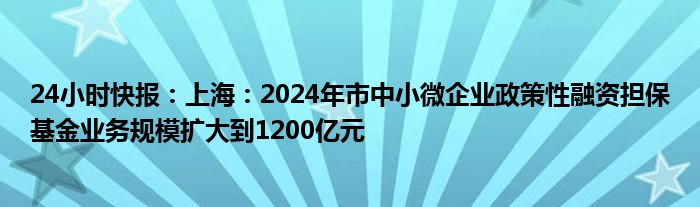 24小时快报：上海：2024年市中小微企业政策性融资担保基金业务规模扩大到1200亿元