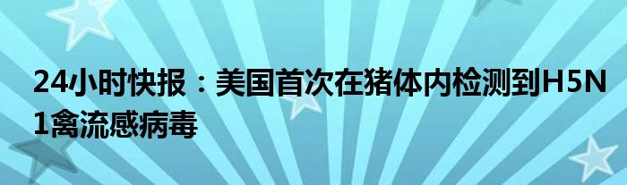 24小时快报：美国首次在猪体内检测到H5N1禽流感病毒