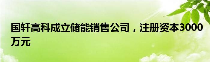 国轩高科成立储能销售公司，注册资本3000万元