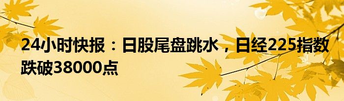 24小时快报：日股尾盘跳水，日经225指数跌破38000点