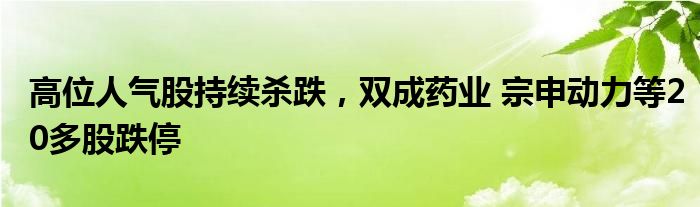 高位人气股持续杀跌，双成药业 宗申动力等20多股跌停