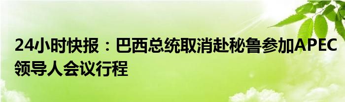 24小时快报：巴西总统取消赴秘鲁参加APEC领导人会议行程