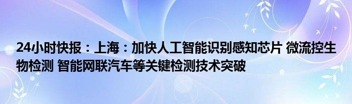 24小时快报：上海：加快人工智能识别感知芯片 微流控生物检测 智能网联汽车等关键检测技术突破