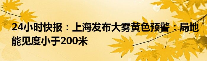 24小时快报：上海发布大雾黄色预警：局地能见度小于200米