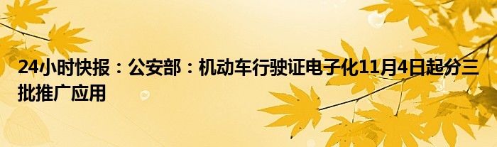 24小时快报：公安部：机动车行驶证电子化11月4日起分三批推广应用