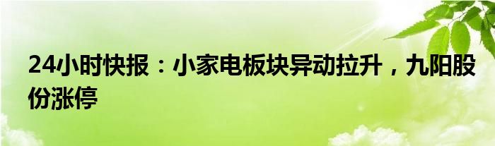 24小时快报：小家电板块异动拉升，九阳股份涨停