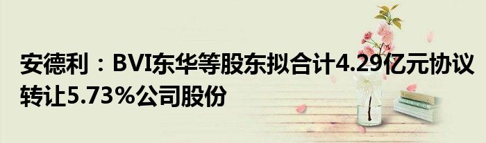 安德利：BVI东华等股东拟合计4.29亿元协议转让5.73%公司股份