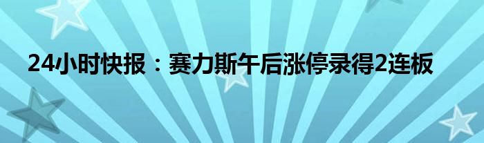 24小时快报：赛力斯午后涨停录得2连板