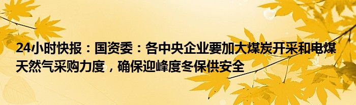 24小时快报：国资委：各中央企业要加大煤炭开采和电煤 天然气采购力度，确保迎峰度冬保供安全