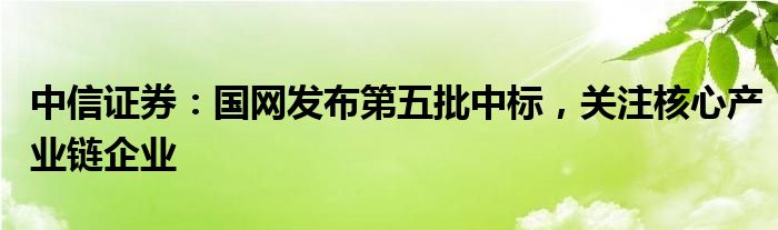 中信证券：国网发布第五批中标，关注核心产业链企业