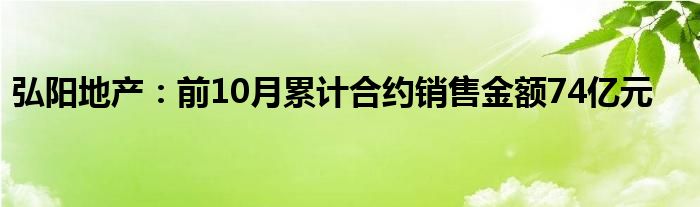 弘阳地产：前10月累计合约销售金额74亿元