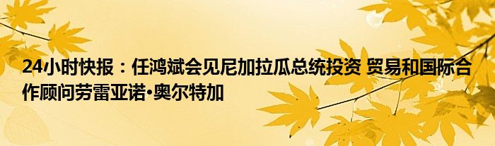 24小时快报：任鸿斌会见尼加拉瓜总统投资 贸易和国际合作顾问劳雷亚诺·奥尔特加