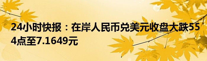 24小时快报：在岸人民币兑美元收盘大跌554点至7.1649元