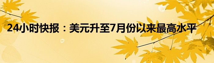 24小时快报：美元升至7月份以来最高水平