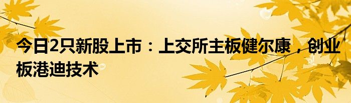 今日2只新股上市：上交所主板健尔康，创业板港迪技术