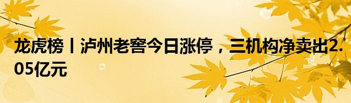 龙虎榜丨泸州老窖今日涨停，三机构净卖出2.05亿元