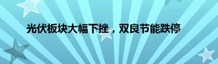 光伏板块大幅下挫，双良节能跌停