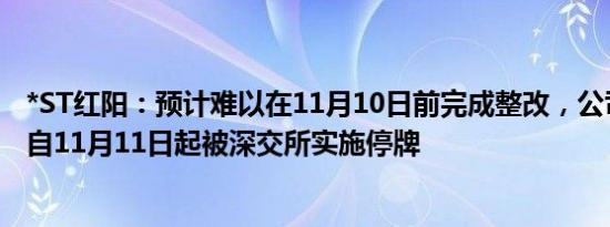 *ST红阳：预计难以在11月10日前完成整改，公司股票可能自11月11日起被深交所实施停牌