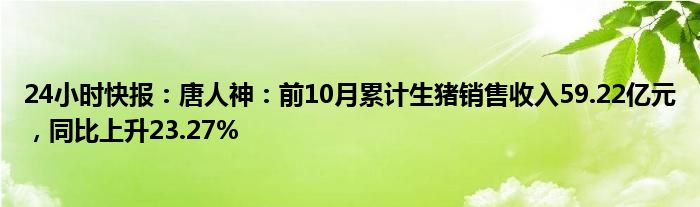 24小时快报：唐人神：前10月累计生猪销售收入59.22亿元，同比上升23.27%