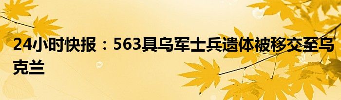 24小时快报：563具乌军士兵遗体被移交至乌克兰