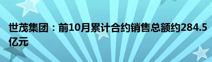 世茂集团：前10月累计合约销售总额约284.5亿元