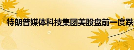 特朗普媒体科技集团美股盘前一度跌超6%