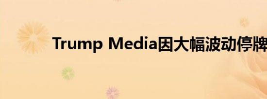 Trump Media因大幅波动停牌