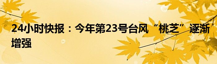 24小时快报：今年第23号台风“桃芝”逐渐增强