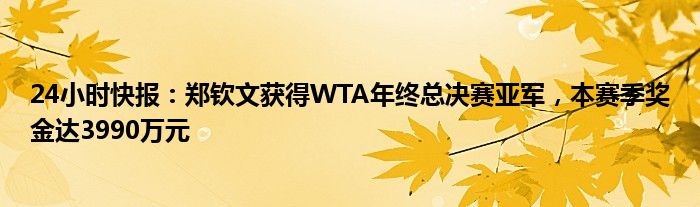 24小时快报：郑钦文获得WTA年终总决赛亚军，本赛季奖金达3990万元