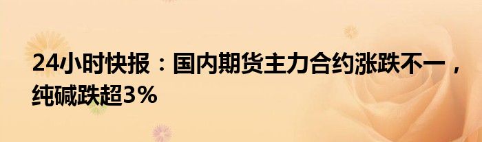 24小时快报：国内期货主力合约涨跌不一，纯碱跌超3%