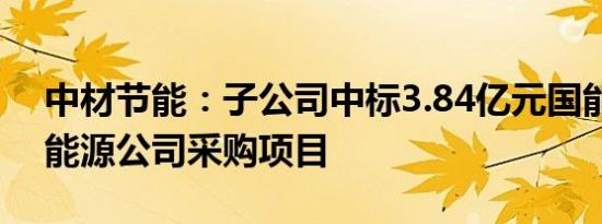 中材节能：子公司中标3.84亿元国能江苏新能源公司采购项目