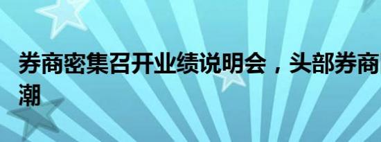 券商密集召开业绩说明会，头部券商回应并购潮