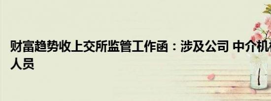 财富趋势收上交所监管工作函：涉及公司 中介机构及其相关人员