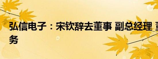 弘信电子：宋钦辞去董事 副总经理 董秘等职务