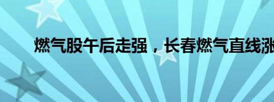 燃气股午后走强，长春燃气直线涨停