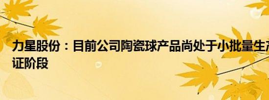 力星股份：目前公司陶瓷球产品尚处于小批量生产和样品认证阶段