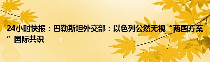 24小时快报：巴勒斯坦外交部：以色列公然无视“两国方案”国际共识