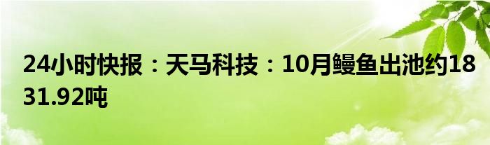 24小时快报：天马科技：10月鳗鱼出池约1831.92吨