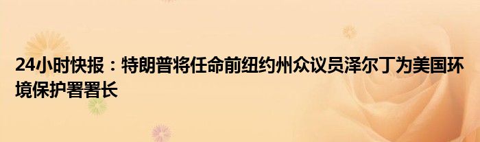 24小时快报：特朗普将任命前纽约州众议员泽尔丁为美国环境保护署署长