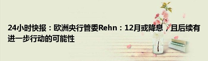 24小时快报：欧洲央行管委Rehn：12月或降息，且后续有进一步行动的可能性