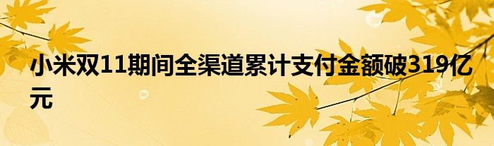 小米双11期间全渠道累计支付金额破319亿元