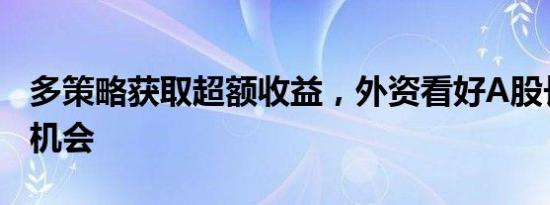 多策略获取超额收益，外资看好A股长线投资机会